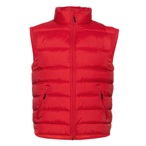 Жилет мужской утепленный таффета 210T, 200гр. плотности (арт. REX82)