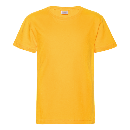 ФУТБОЛКА ДЕТСКАЯ 140ГР ПЛОТНОСТЬ (арт. REX06U)