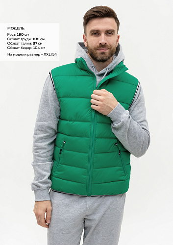 Жилет мужской утепленный таффета 210T, 200гр. плотности (арт. REX82)